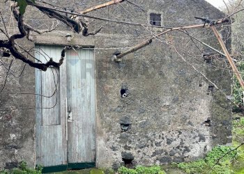 Casa all\'aperto - Terreno agricolo Via Ragogna
 
13, Acireale - foto 7