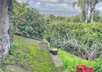 Giardino - Terreno agricolo Via Ragogna
 
13, Acireale - foto 8