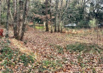 Giardino - Terreno agricolo Via Feudo Manganelli, Zafferana Etnea - foto 6