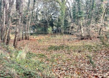 Giardino - Terreno agricolo Via Feudo Manganelli, Zafferana Etnea - foto 7