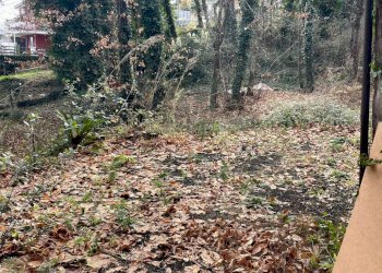 Giardino - Terreno agricolo Via Feudo Manganelli, Zafferana Etnea - foto 9