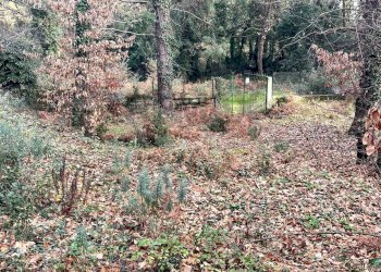 Giardino - Terreno agricolo Via Feudo Manganelli, Zafferana Etnea - foto 11