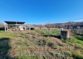 Foto 6 - Rustic Offida - photo 6