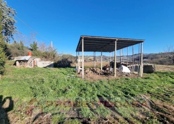 Foto 7 - Rustic Offida - photo 7