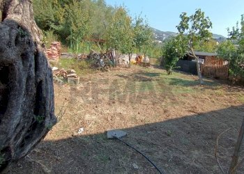 Giardino - Casa indipendente Santi Cosma e Damiano - foto 18