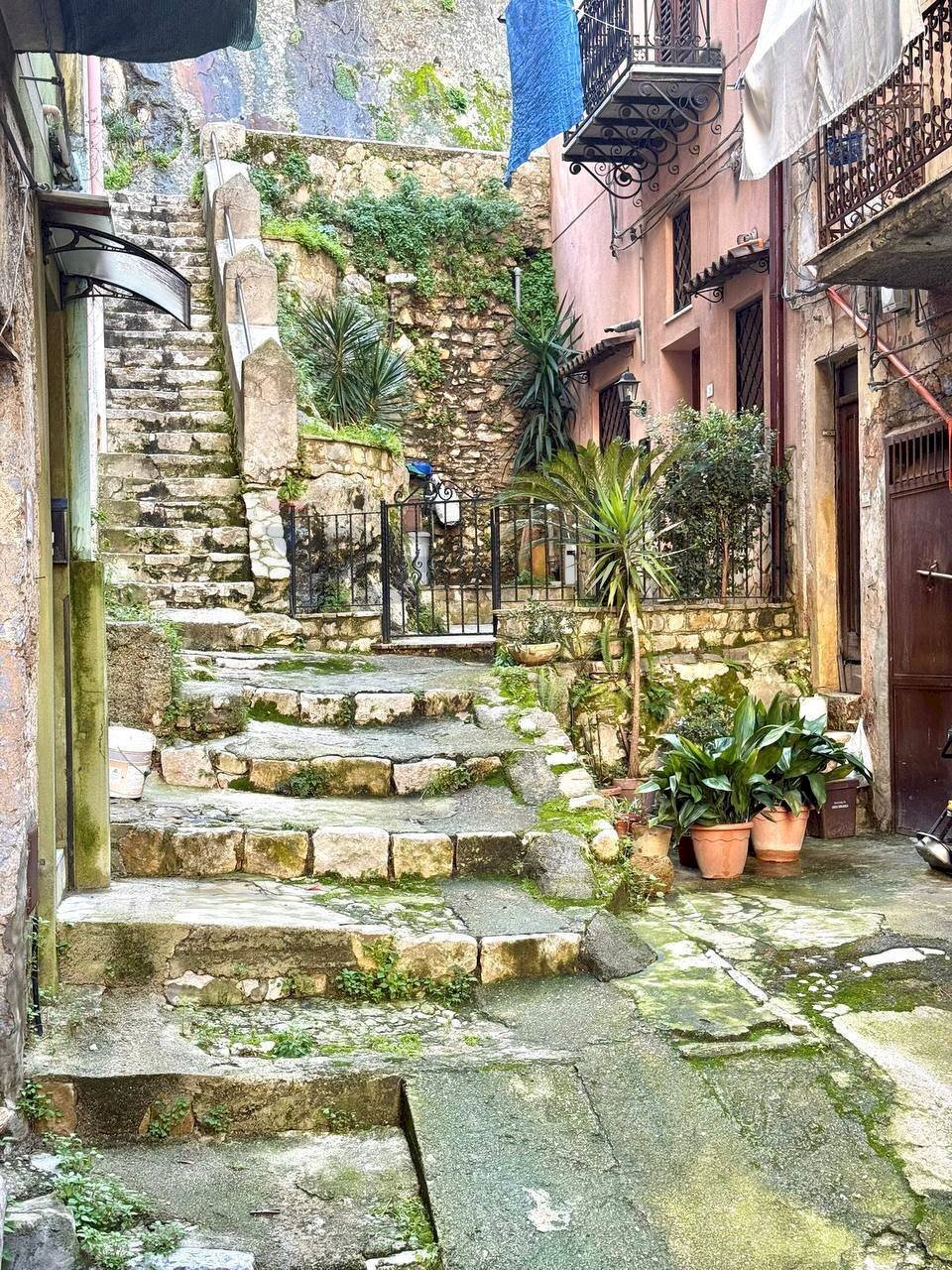 Giardino - Semi-detached Villa VIA RE FEDERICO
 
30, Altofonte - photo 3