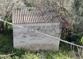 Non correlato - Villa VIA REGIONE SICIALANA 156
 
156, Monreale - foto 2