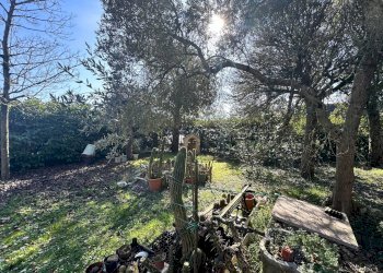 Foto 9 - Casa semi indipendente Medolla - foto 9