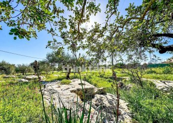 Foto 7 - Villa SP 64, Noto - foto 7