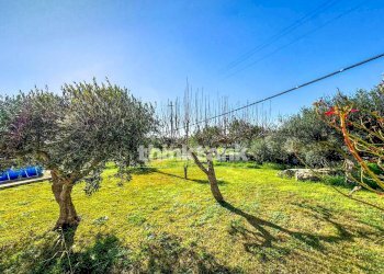 Foto 32 - Villa SP 64, Noto - foto 32