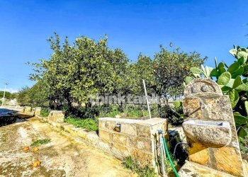 Foto 40 - Villa SP 64, Noto - foto 40