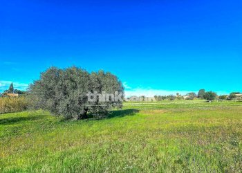 Foto 30 - Villa Via della Canapa, Ispica - foto 30