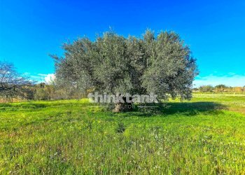 Foto 32 - Villa Via della Canapa, Ispica - foto 32