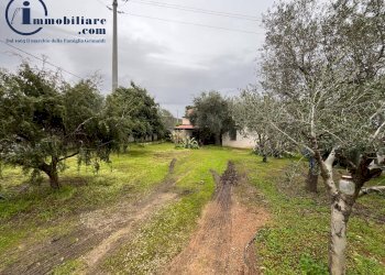 Foto 5 - Independent house Località Pelaleddu, Jerzu - photo 5