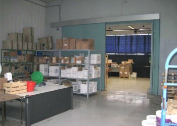 Locale Commerciale Caselle Torinese - foto 5