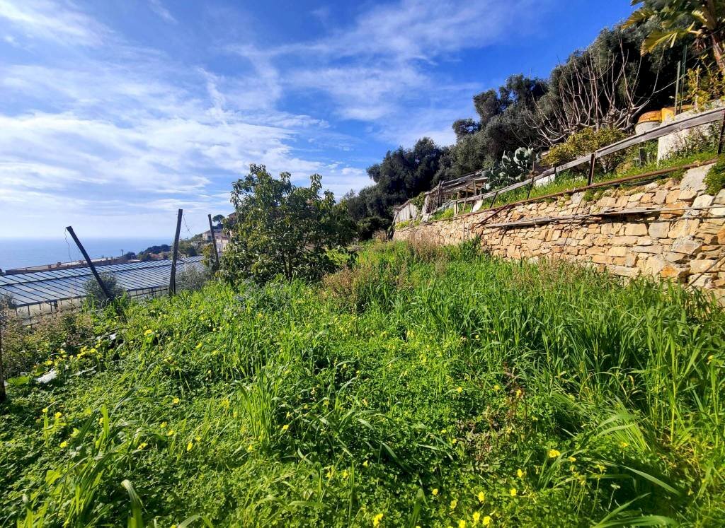 Terreno - Agricultural land strada Punta San Pietro, Ospedaletti - photo 2