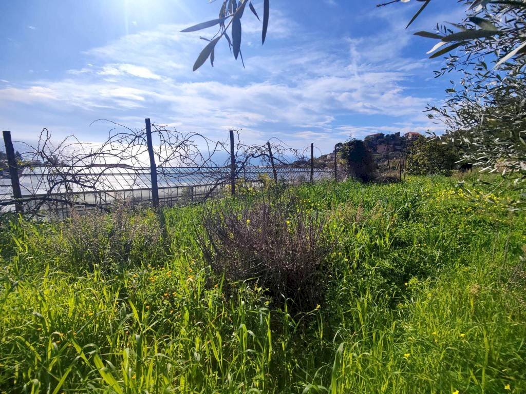 Terreno - Agricultural land strada Punta San Pietro, Ospedaletti - photo 3