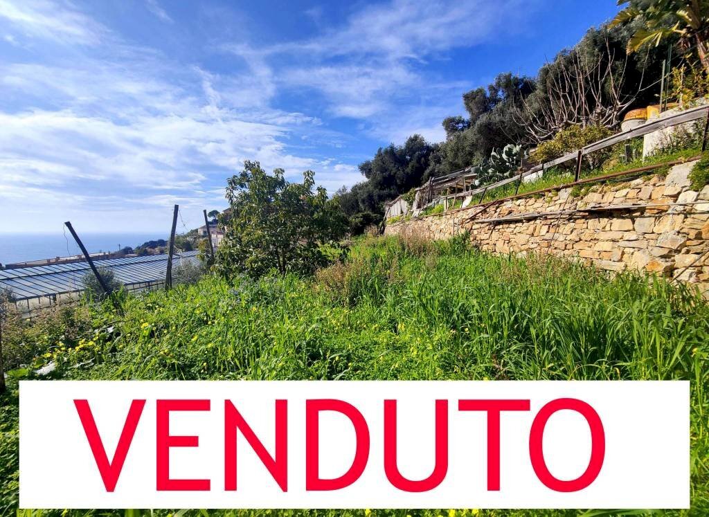 Terreno - Agricultural land strada Punta San Pietro, Ospedaletti - photo 1