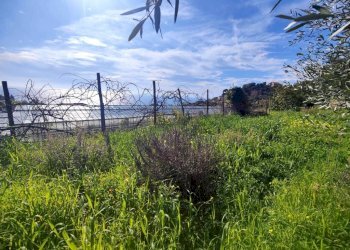 Terreno - Agricultural land strada Punta San Pietro, Ospedaletti - photo 3