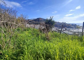 Terreno - Agricultural land strada Punta San Pietro, Ospedaletti - photo 4