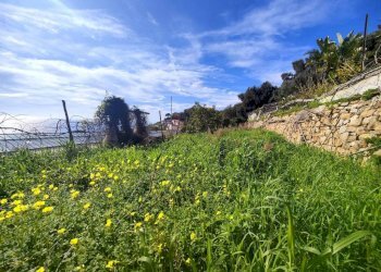 Terreno - Agricultural land strada Punta San Pietro, Ospedaletti - photo 5