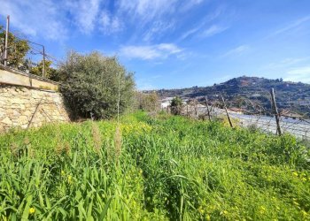Terreno - Agricultural land strada Punta San Pietro, Ospedaletti - photo 6