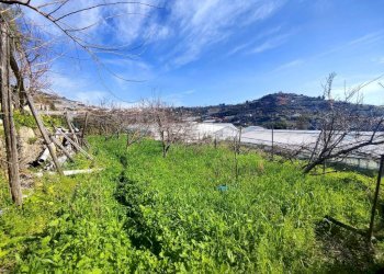 Terreno - Agricultural land strada Punta San Pietro, Ospedaletti - photo 8