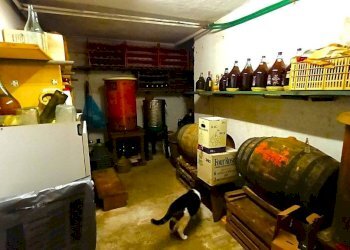 Cantina - Villa via dei Pozzi, Montelupo Fiorentino - foto 25