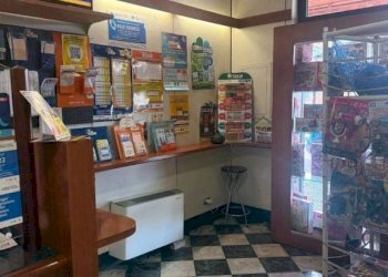Interno non residenziale - Bar - Tobacco - Ricevitoria Moncalieri - photo 3