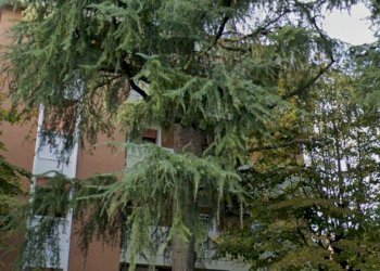 img_5511 - Appartamento via Sacco e Vanzetti, 4, Castenaso - foto 2