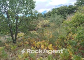 Terreno agricolo strada Milia, Biancavilla - foto 13