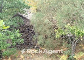 Terreno agricolo strada Milia, Biancavilla - foto 15