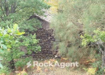 Terreno agricolo strada Milia, Biancavilla - foto 17