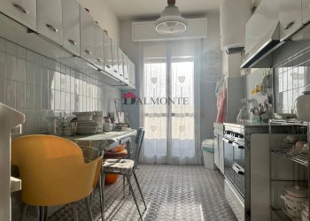 Cucina - Appartamento viale Antonio Gramsci, Modena (zona Crocetta) - foto 15