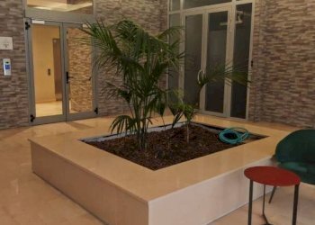 Interno palazzo - Bilocale via Napoleone Parboni, 12, Roma - foto 33