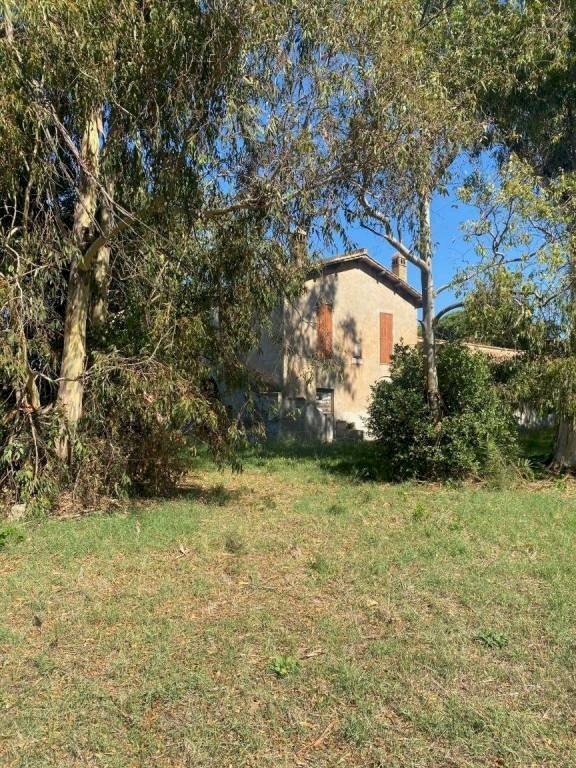 Terreno - Rustico via dei Faggi, Ladispoli - foto 3