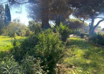 Terreno - Rustico via dei Faggi, Ladispoli - foto 7