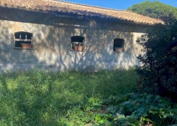 Terreno - Rustico via dei Faggi, Ladispoli - foto 8