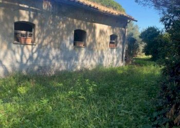 Terreno - Rustico via dei Faggi, Ladispoli - foto 9