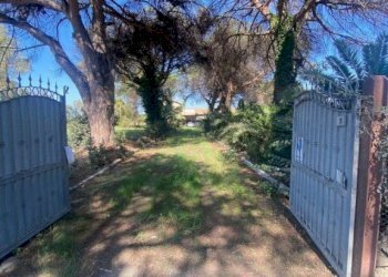 Terreno - Rustico via dei Faggi, Ladispoli - foto 10