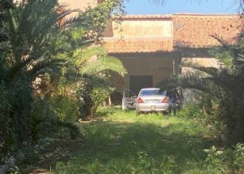 Giardino - Rustico via dei Faggi, Ladispoli - foto 11