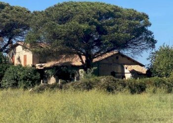 Terreno - Rustico via dei Faggi, Ladispoli - foto 12