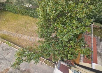 WhatsApp Image 2026-01-15 at 12.38.06.jpeg - Appartamento Bardolino - foto 26