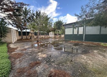 IMG_8524.JPG - Villa a Schiera Campobello di Mazara - foto 7