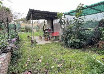 giardino privato - Appartamento Via Giacomo Leopardi 55, Grosseto - foto 28