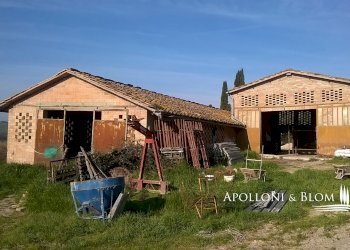 Rustico Strada Radi, 34/b, Siena - foto 3