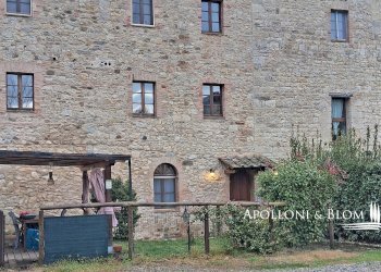 Four-room apartment la madonna, 30, Gaiole in Chianti - photo 2