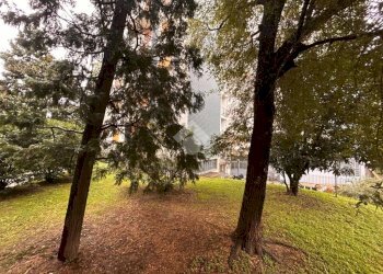 Trilocale Via Padova, Milano (zona Cimiano) - foto 17