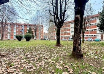 Trilocale Via Parenzo, Torino (zona Lucento) - foto 20