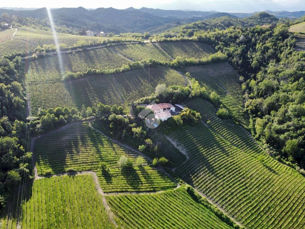 Attività Commerciale Azienda Vitivinicola Via alle Fontane, Ponzano Monferrato - foto 1